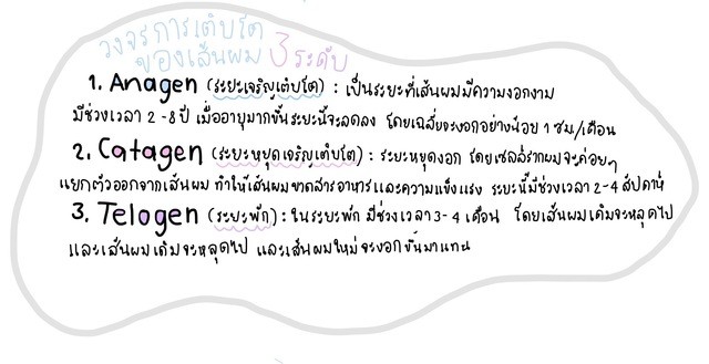1597648124 %e0%b8%aa%e0%b8%a1%e0%b8%b8%e0%b8%94%e0%b9%82%e0%b8%99%e0%b9%89%e0%b8%95%e0%b9%84%e0%b8%a1%e0%b9%88%e0%b8%a1%e0%b8%b5%e0%b8%8a%e0%b8%b7%e0%b9%88%e0%b8%ad  1  3 2