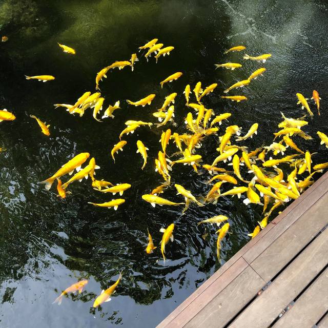 1597905216 117776614 358283845567238 3185578121731442129 n