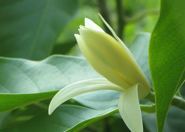 image_1002304