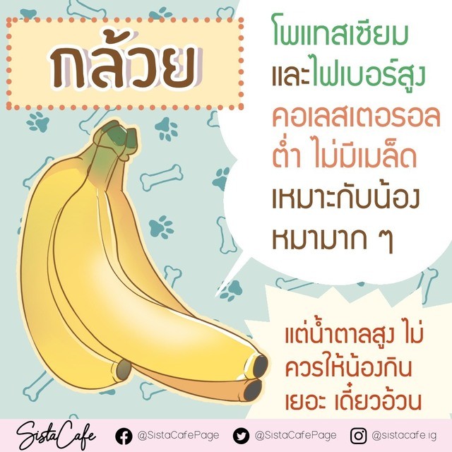 image_1004157