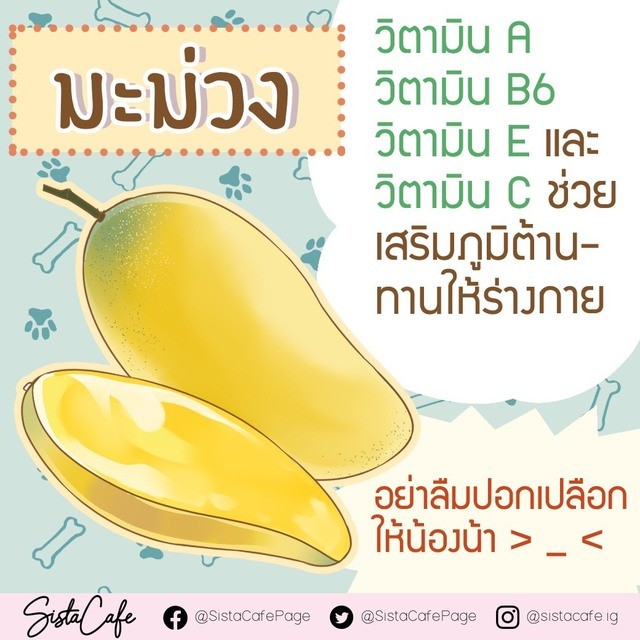 image_1004159
