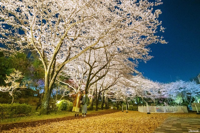image_1004400