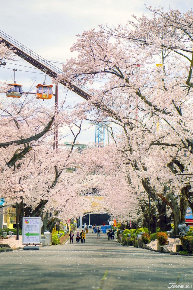 image_1004401