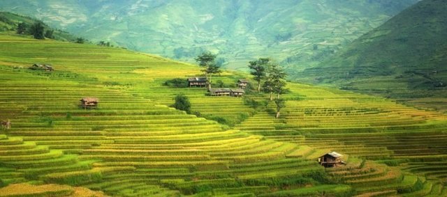 image_1004593
