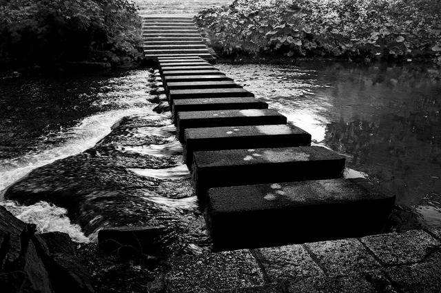 image_101309