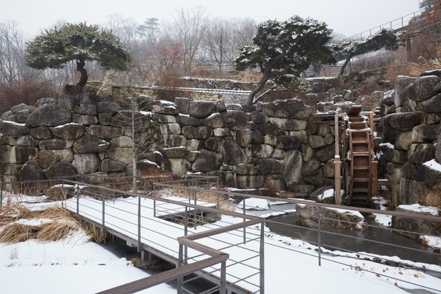 image_1015561