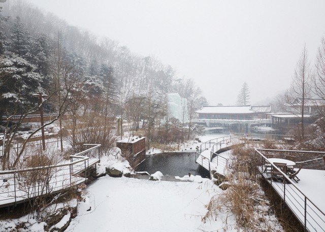 image_1015562