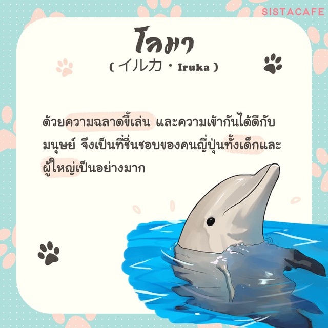 1605462484 5
