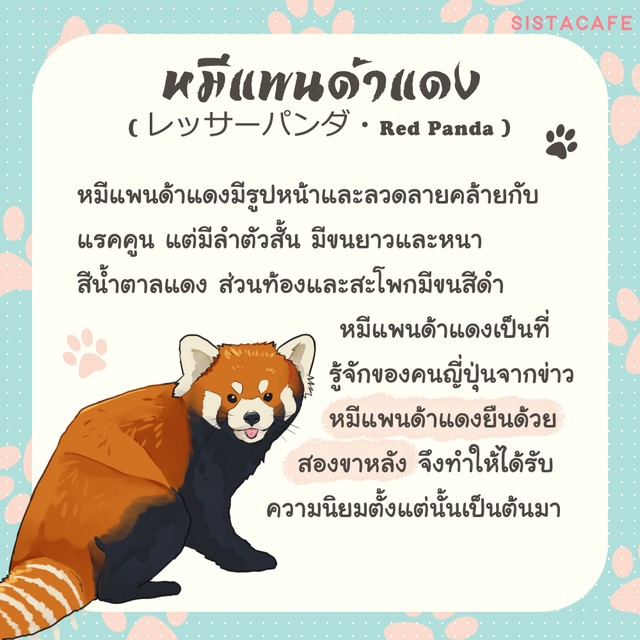 1605462737 1