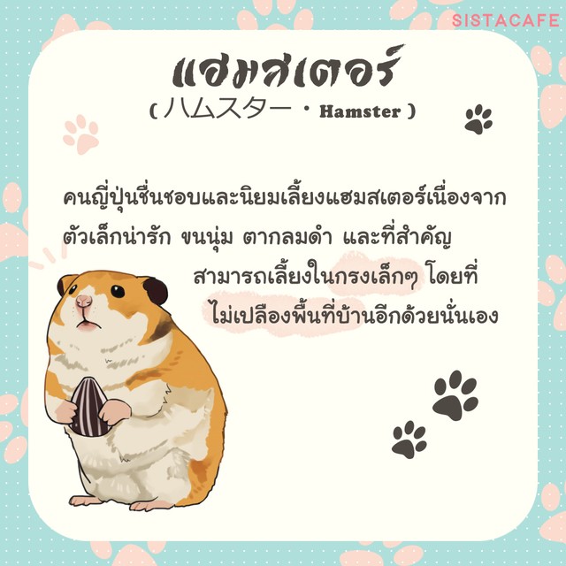 1605462779 2