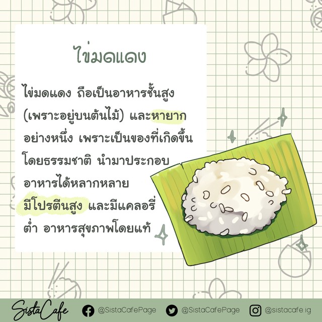 1606066649 3