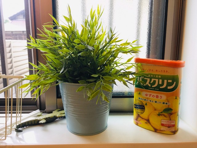 image_1017431