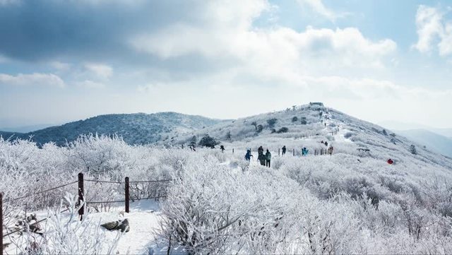 image_1017693