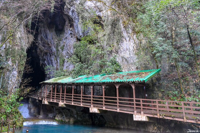 image_1019253