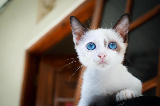 1607702792 pexels tamba budiarsana 171227