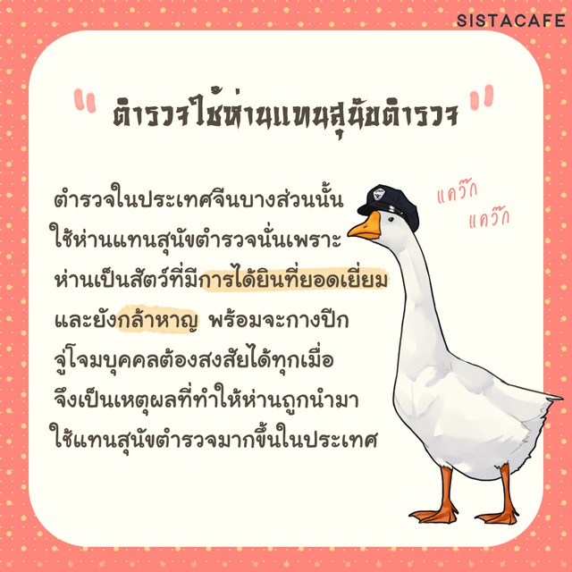 1608485325 1