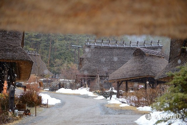 image_1024815
