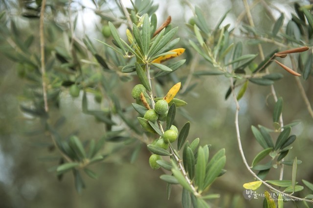 image_1025103