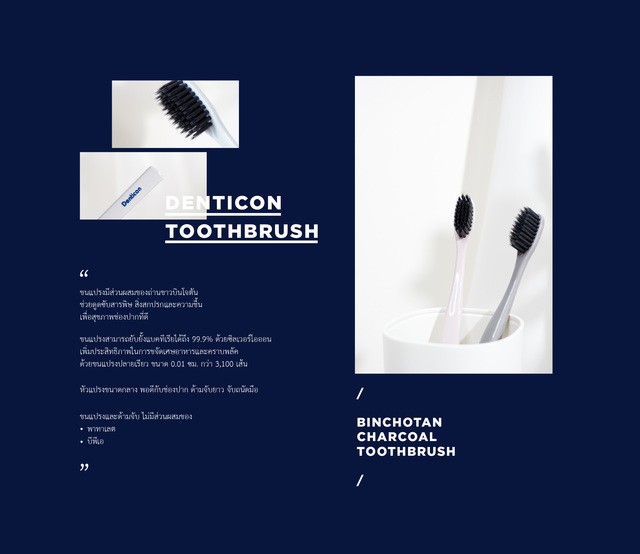 1609941185 denticon 03
