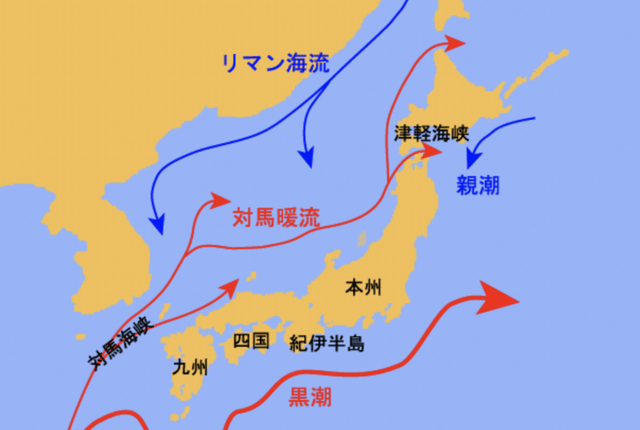 image_1026834