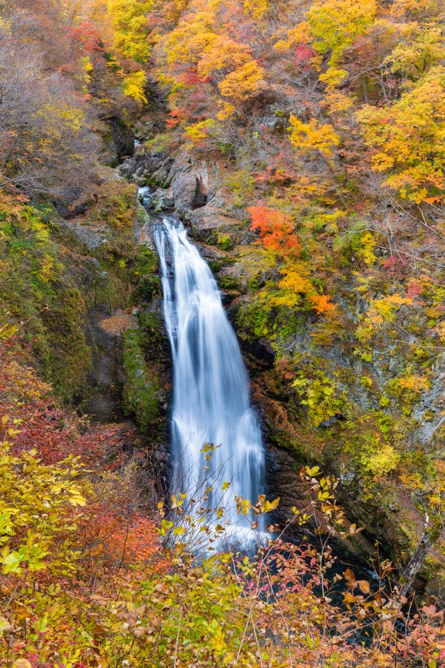 image_1026879