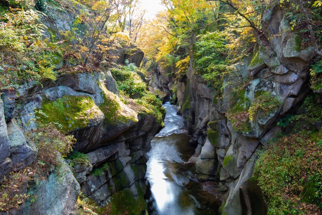image_1026881