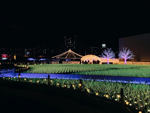 image_1026906