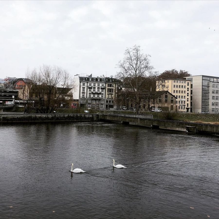 image_1031639
