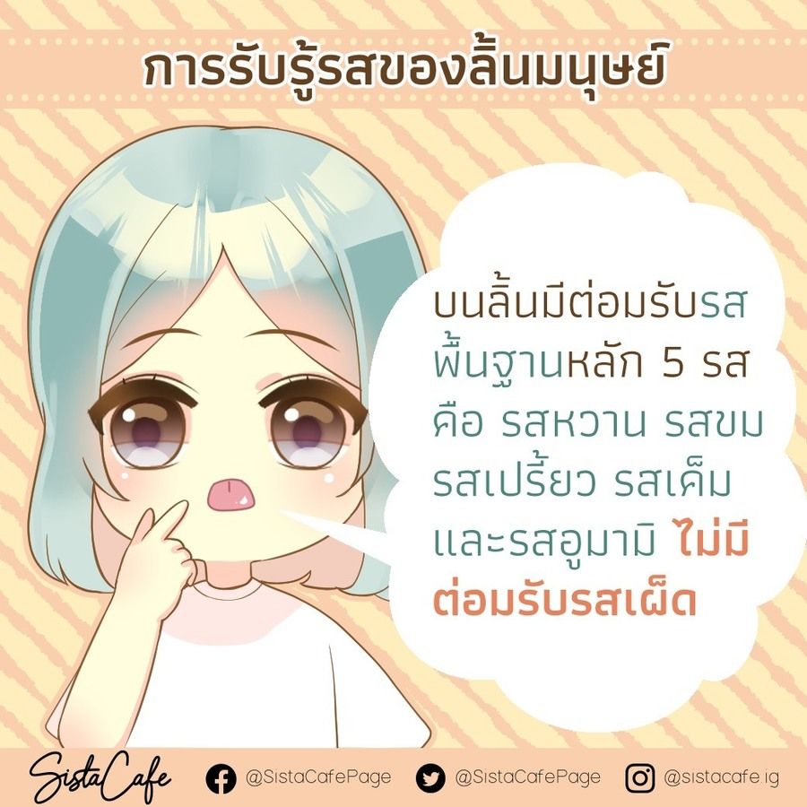 image_1033572