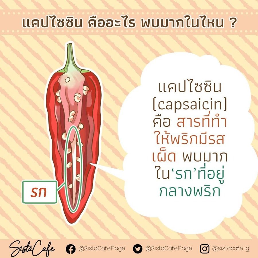 image_1033574