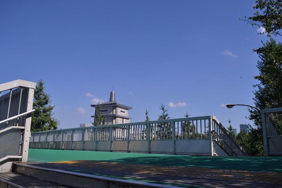 image_1037341