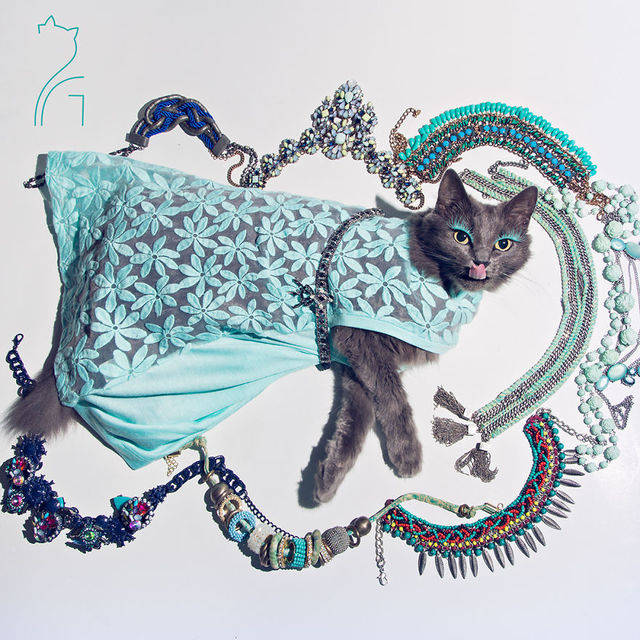 1457979428 pitzush glamour pussycat 4