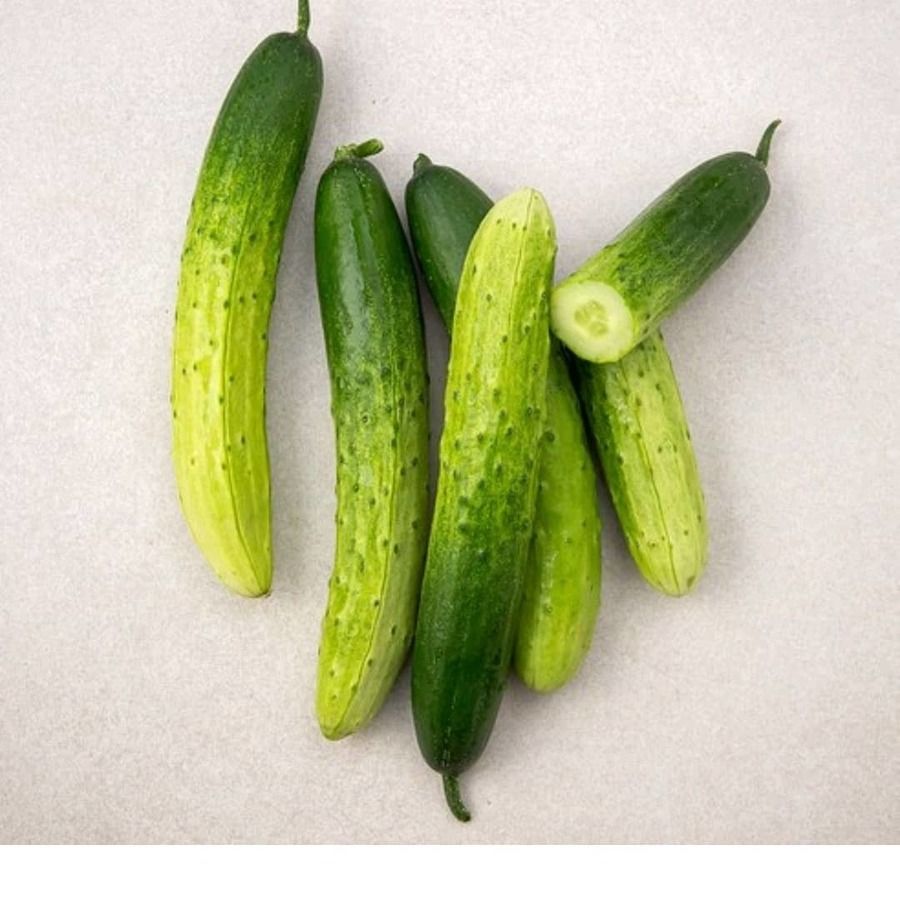 image_1041503