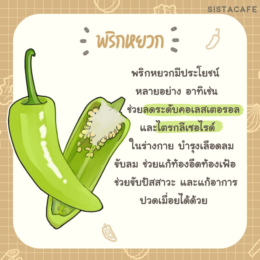 image_1049815