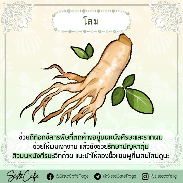 image_1052030