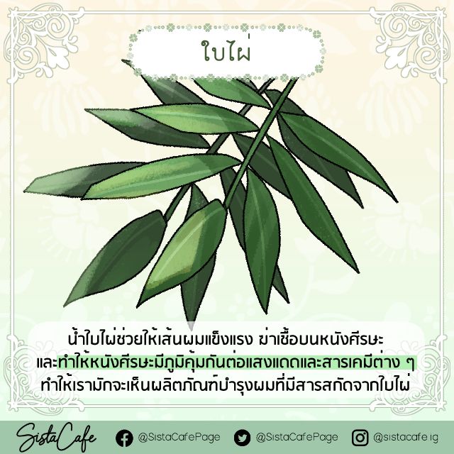 image_1052031
