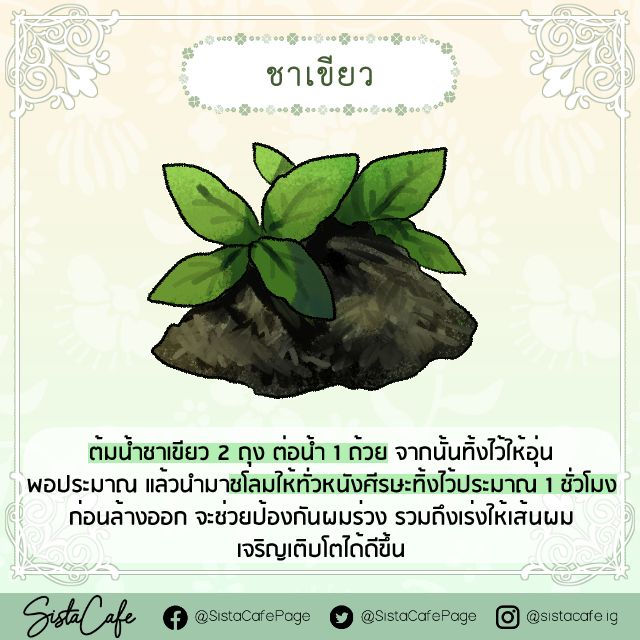 image_1052033