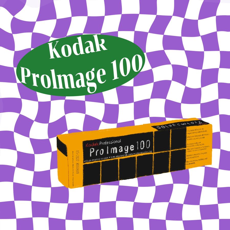 1630751336 img 3339