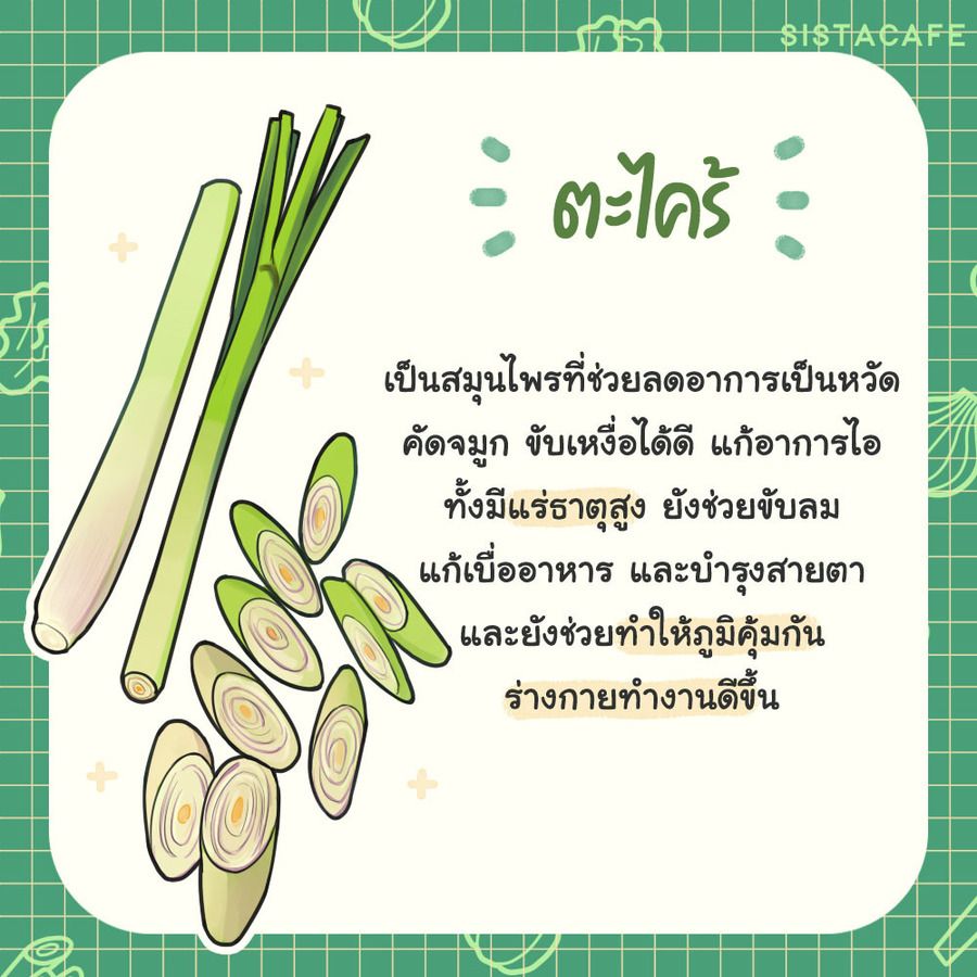 image_1055724