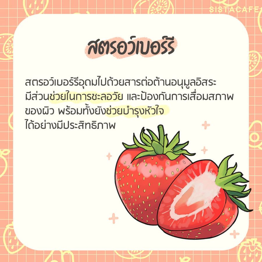 image_1059173