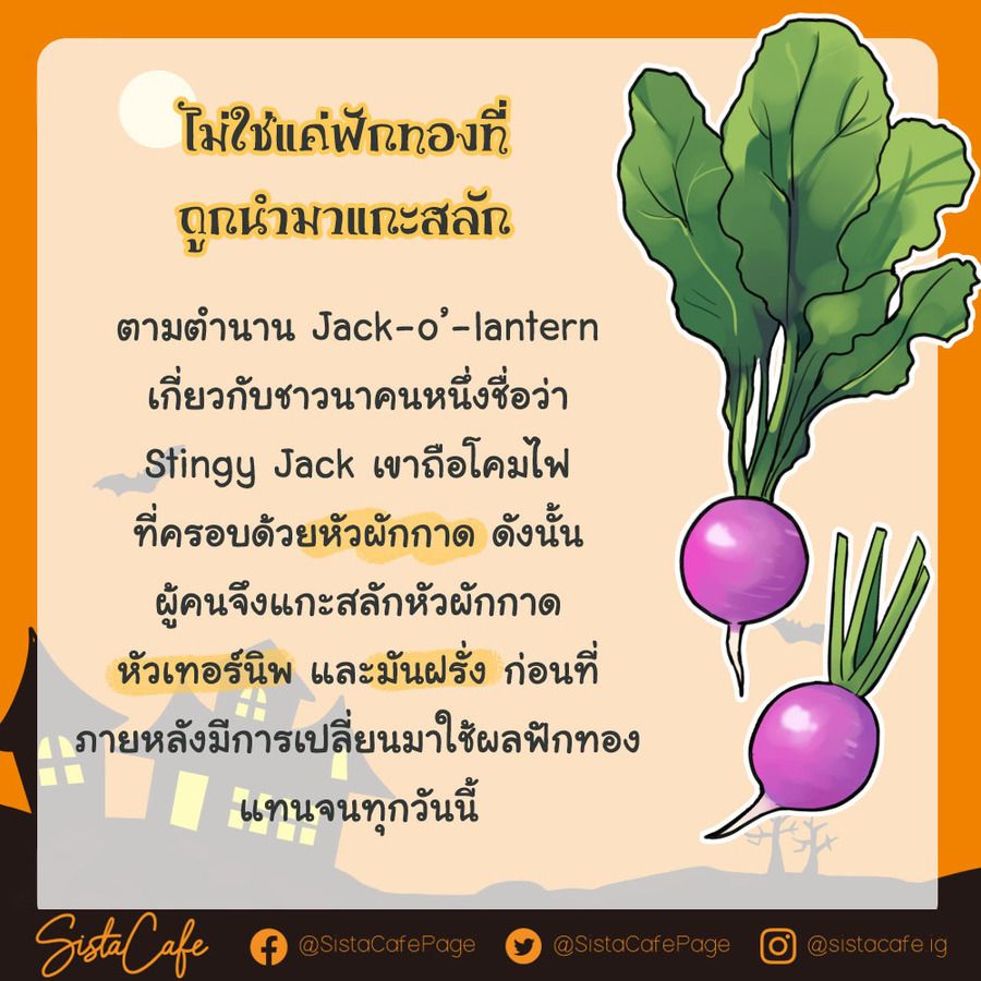 image_1060441