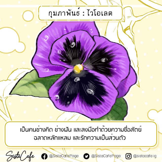 image_1062170