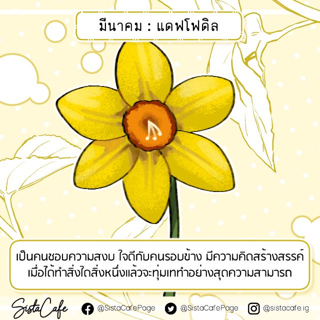 image_1062171