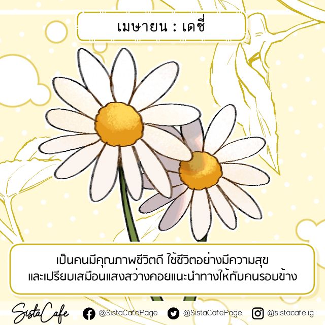 image_1062172