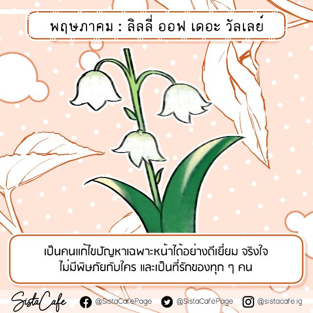 image_1062308