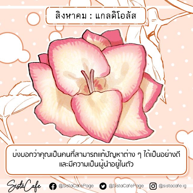 image_1062311