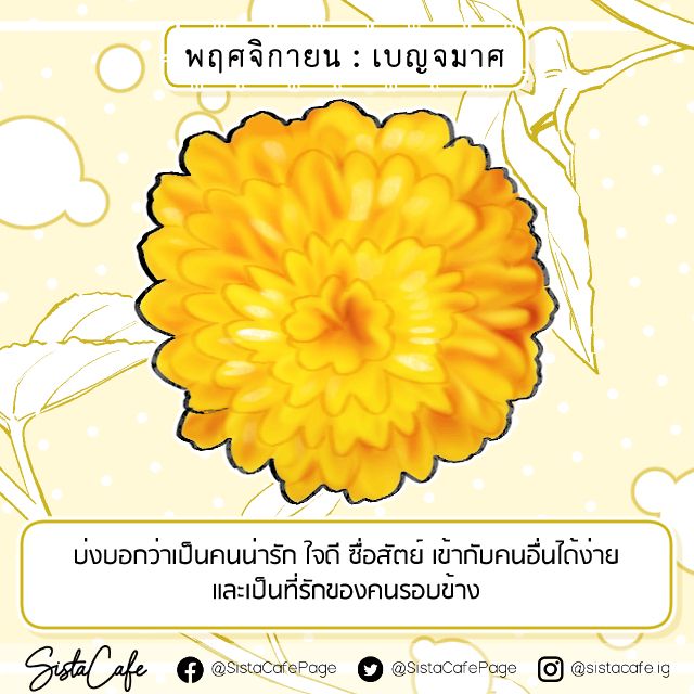 image_1062315