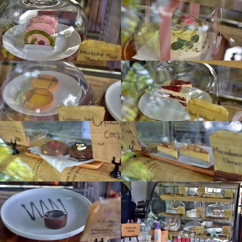 1638287100 collage1