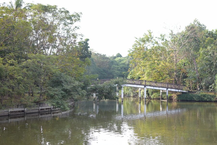 1638710541 dsc 0025