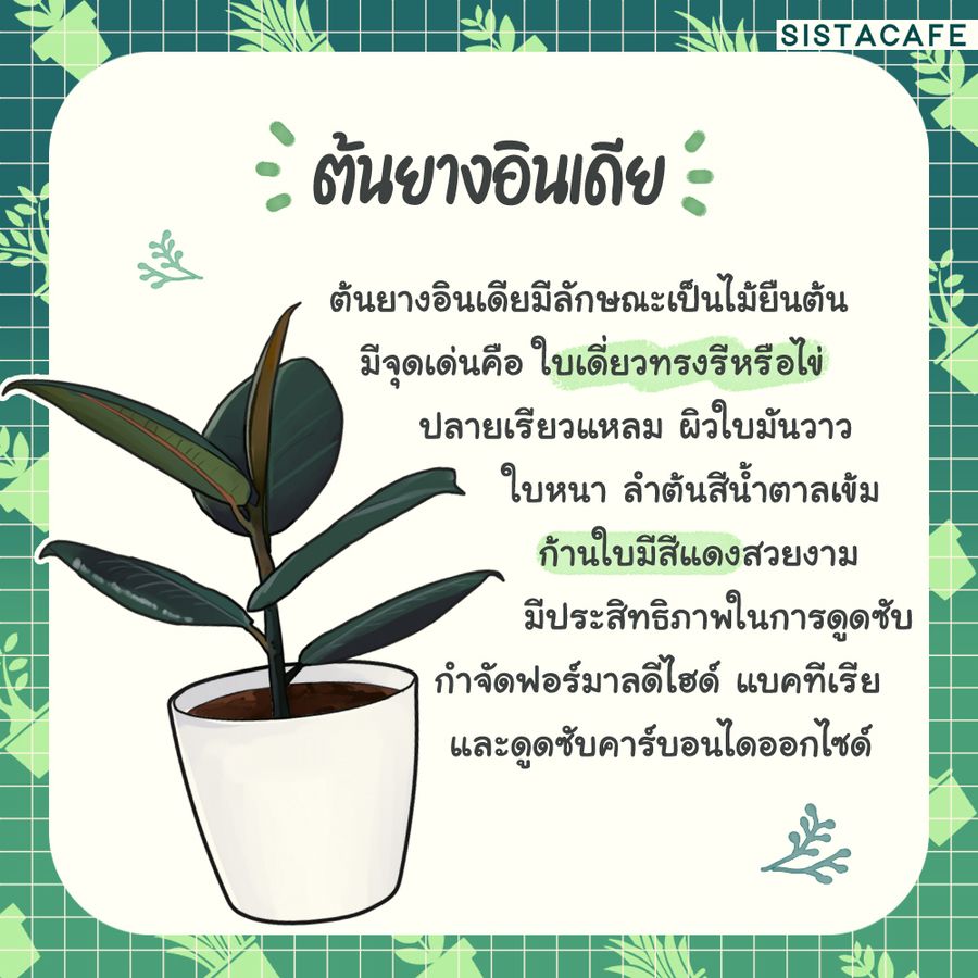 image_1066033